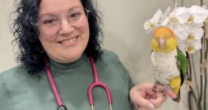 Exploring Holistic Care: The Role of a Natural Veterinarian